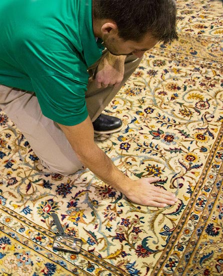Professional Area and Oriental Rug Cleaning by Ambassador Chem-Dry in Tampa, Florida