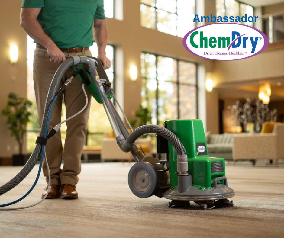 Ambassador Chem-Dry cleans Tampa, FL carpets