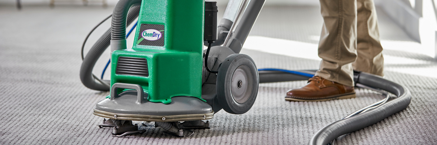 Tampa, Florida eco-friendly carpet cleaning by Ambassador Chem-Dry